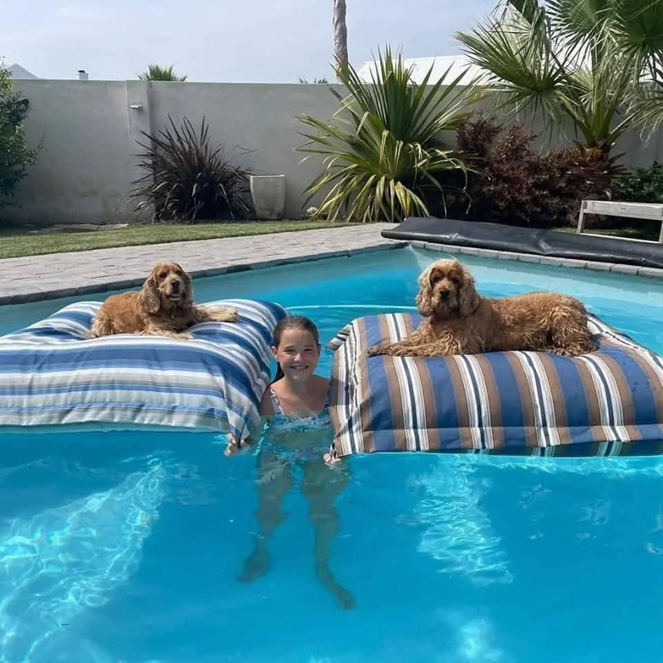 Pool pillow