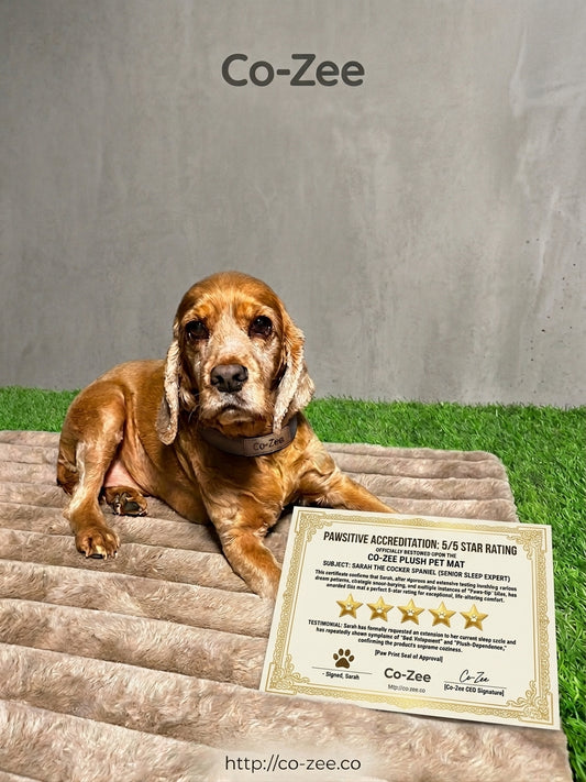 Dog bed square corduroy