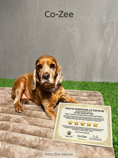 Dog bed square corduroy